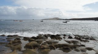GC-Playa de Tufia 2019-30.JPG